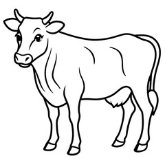     cow vector illustration
