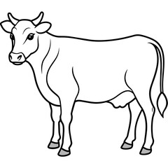     cow vector illustration
