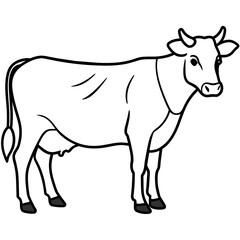     cow vector illustration
