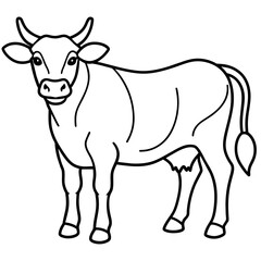     cow vector illustration
