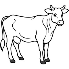 Fototapeta premium cow vector illustration 