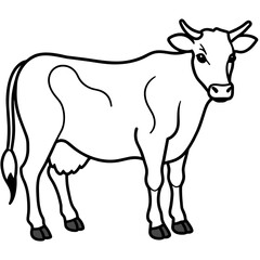     cow vector illustration
