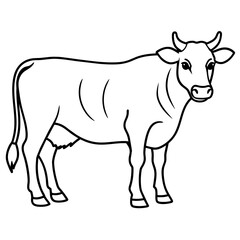 cow vector illustration