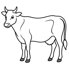 cow vector illustration