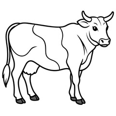 cow vector illustration