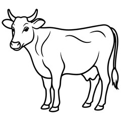 cow vector illustration