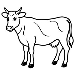Obraz premium cow vector illustration