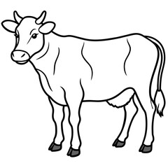 cow vector illustration