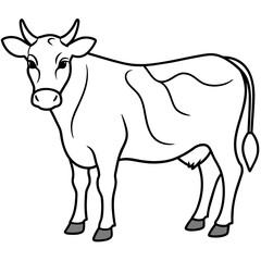 Fototapeta premium cow vector illustration