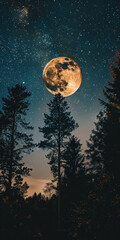 Majestic Full Moon Illuminating a Nighttime Forest Sky
