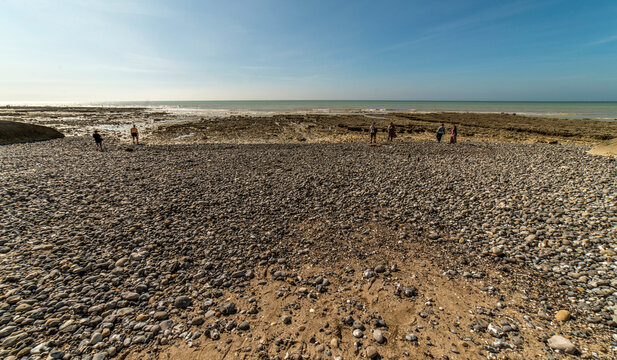 Mar&eacute;e basse sur le Bois-de-Cise &agrave; Ault, Somme, France