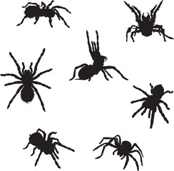 spider, tarantula, various images, vector, black silhouette