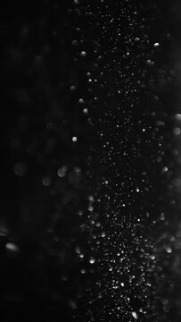Slow motion of natural organic dust particles on black background. Vertical video.