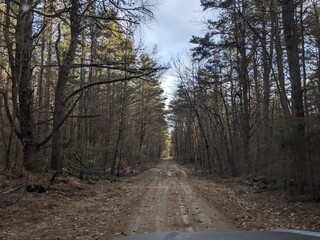 Obraz premium Late Winter / Early Spring in the Northeast USA