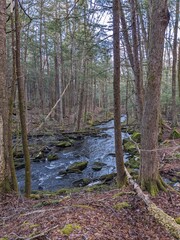 Late Winter / Early Spring in the Northeast USA