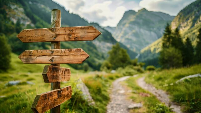Wooden signpost with arrows at mountain dirt road fork