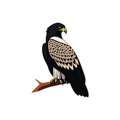 Eagle heads black and white vector, the Head of an eagle in the form of a stylized tattoo. Eagle Mascot Vector Illustration, eagle silhouette, logo, icon, design vector illustration for graphic design