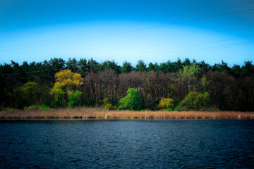 Blue lake and beautiful deciduous forest on the far shore