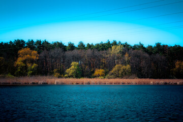 Blue lake and beautiful deciduous forest on the far shore