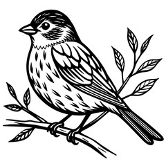  Bird vector illustration.