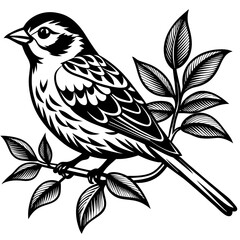  Bird vector illustration.