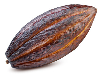 Cocoa pod. Cocoa pod isolated on white background. Cocoa bean with clipping path - 781501493