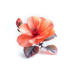Orange Flower With Green Leaves on White Background. Generative AI