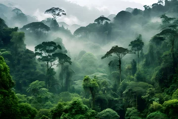 Fotobehang Rainforest landscape with trees and fog © akualip
