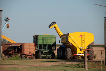 Campo argentino, descarga de semillas de soja para acopiar en silos, maquinaria agrícola