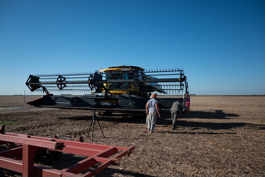 Hombres de campo de espalda preparando la cosechadora para salir a trillar soja en campo Argentino