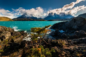 Papier peint adhésif Cuernos del Paine Majestic mountain landscape. National Park Torres del Paine, Chile