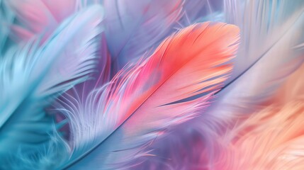 pastel colour feather abstract background 