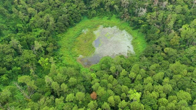 Aerial top view perspective of Trou Aux Cerf Volcano Curepipe in the tropical island jungle of Mauritius. Aerial view of Trou aux cerfs dormant volcano located at Curepipre, Mauritius