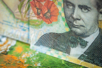 Romania money, Banknote of 200 Romanian Lei against the background of the world, Financial market concept - 781512460