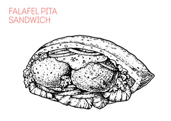 Falafel in pita bread sketch. Hand drawn vector illustration.