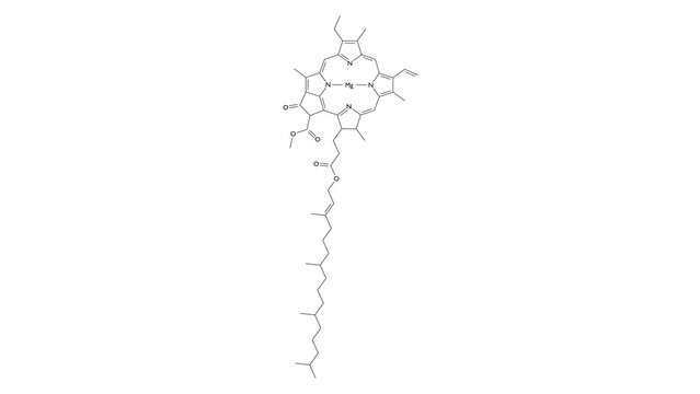 chlorophyll a molecule, structural chemical formula, ball-and-stick model, isolated image chlorophyll