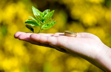 A girl holds coins on a yellow natural background