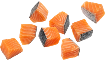 Salmon fillet cubes isolated 