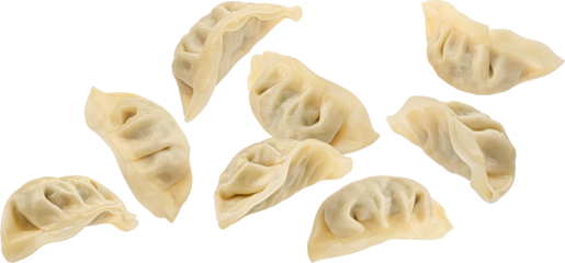 Falling Chinese Gyoza dumplings