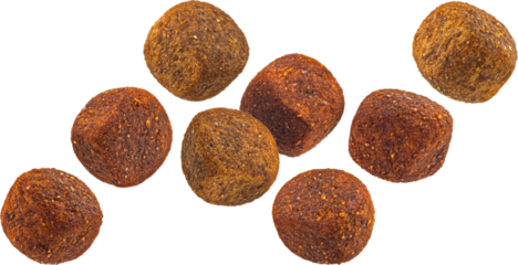 Dry cat or dog food isolated