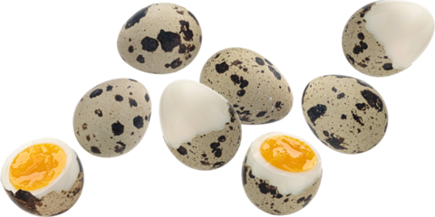 Falling quail eggs isolated