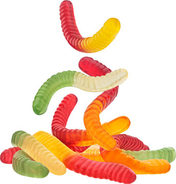 Gummy worm candies isolated on white background