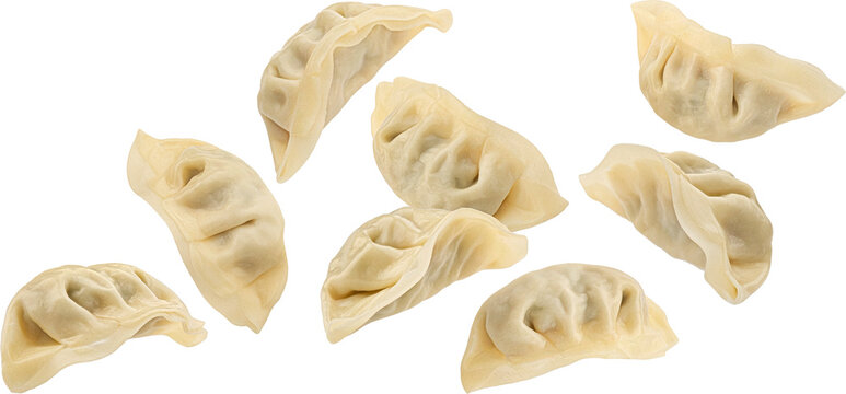 Falling Chinese Gyoza dumplings