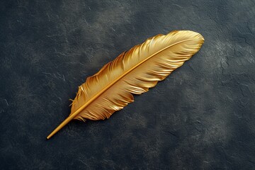 Golden feather on black background, old exquisite golden feather