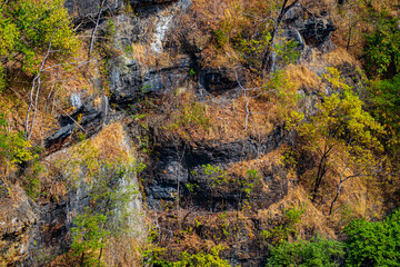 Aerial view of Tree Stones Wall Along a River in a Lush Forest Landscape.