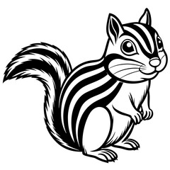 squirrel vector illustration