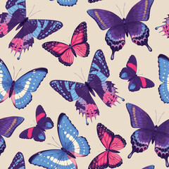 Vector pattern with high detailed vivid butterfly - obrazy, fototapety, plakaty
