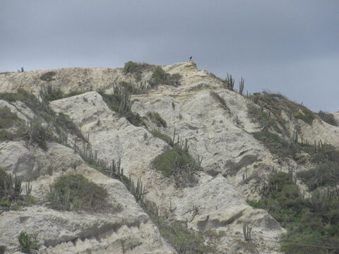arid mountain, La Guaira, Venezuela
