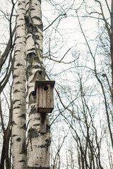 Old wooden birdhouse on a cherry tree in the farm park zone. Simple birdhouse design. Shelter for...