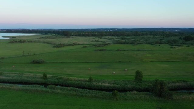 Nature Reserve Beka Rezerwat Przyrody Aerial View Poland